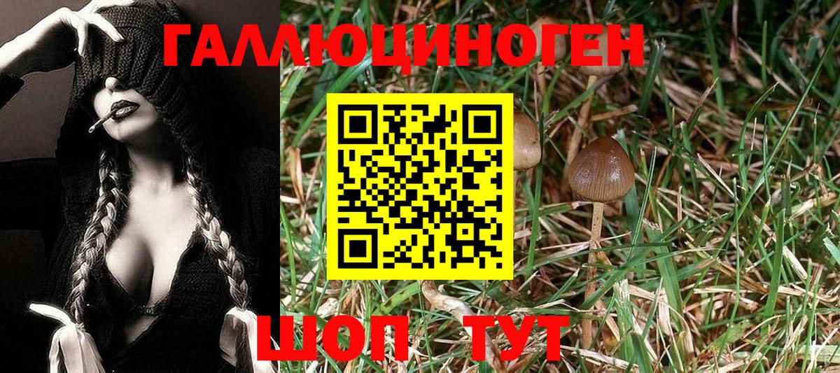 Братск  Псилоцибиновые грибы Magic Shrooms  Вход с VPN 