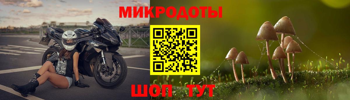 Галлюциногенные грибы прущие грибы Братск